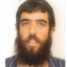 דוד אופיר