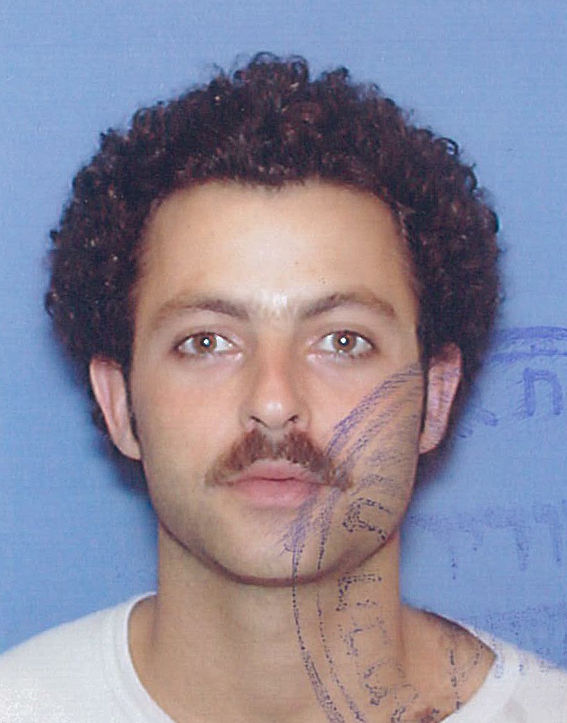 רועי ברנהולץ