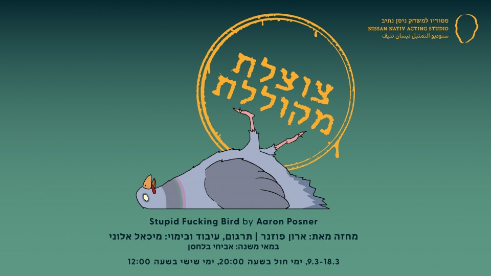 צוצלת מקוללת | מחזור נ